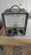 Voltmeter